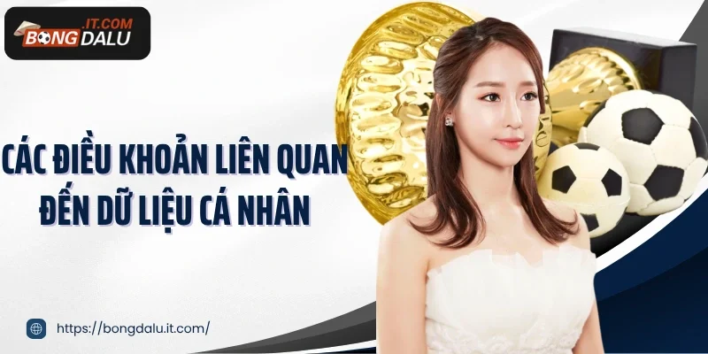 Các điều khoản liên quan đến dữ liệu cá nhân