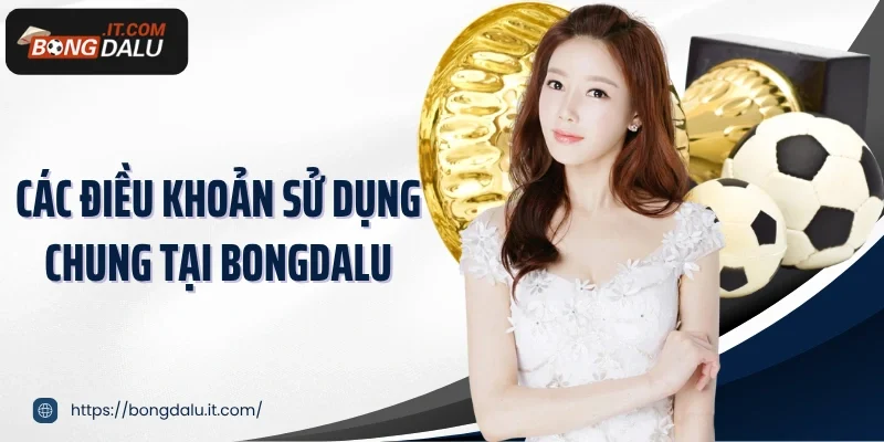 Các điều khoản sử dụng chung tại Bongdalu