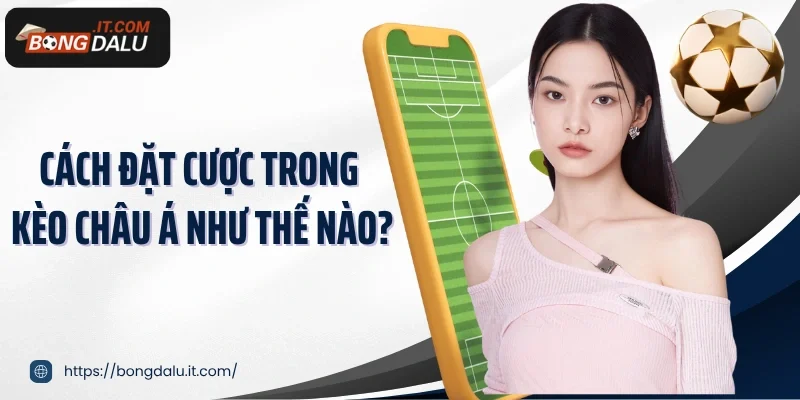 Cách đặt cược trong kèo châu Á như thế nào?