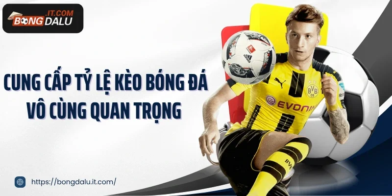 Cung cấp tỷ lệ kèo bóng đá vô cùng quan trọng