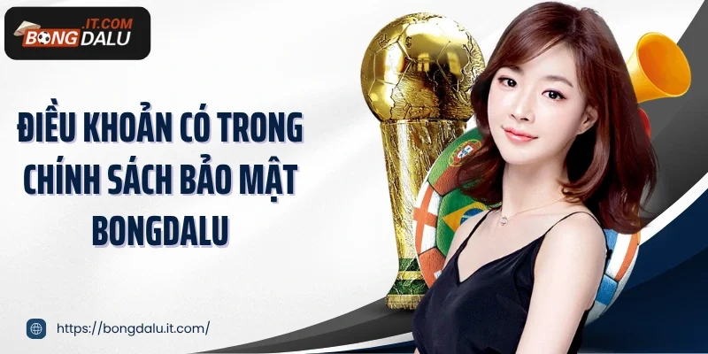 Điều khoản có trong chính sách bảo mật Bongdalu