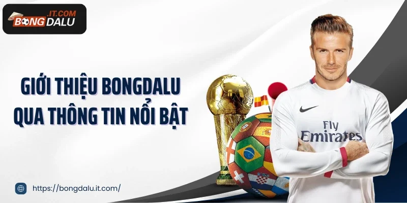 Giới thiệu Bongdalu qua thông tin nổi bật