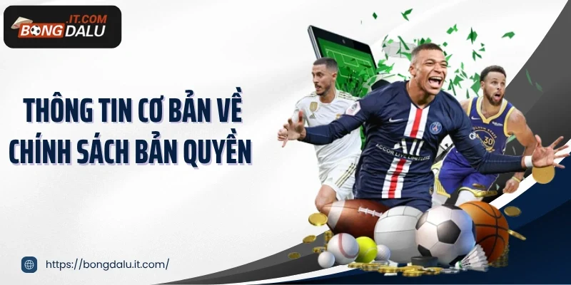 Thông tin cơ bản về chính sách bản quyền