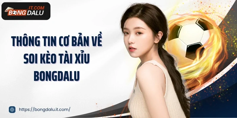 Thông tin cơ bản về soi kèo tài xỉu Bongdalu