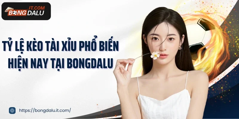 Tỷ lệ kèo tài xỉu phổ biến hiện nay tại Bongdalu